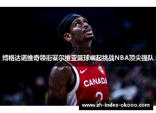 博格达诺维奇领衔塞尔维亚篮球崛起挑战NBA顶尖强队